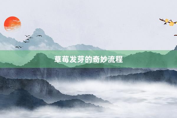 草莓发芽的奇妙流程