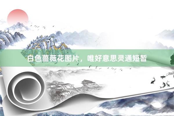 白色蔷薇花图片，唯好意思灵通短暂