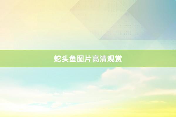 蛇头鱼图片高清观赏
