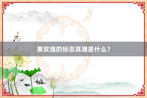 黄玫瑰的标志真理是什么？